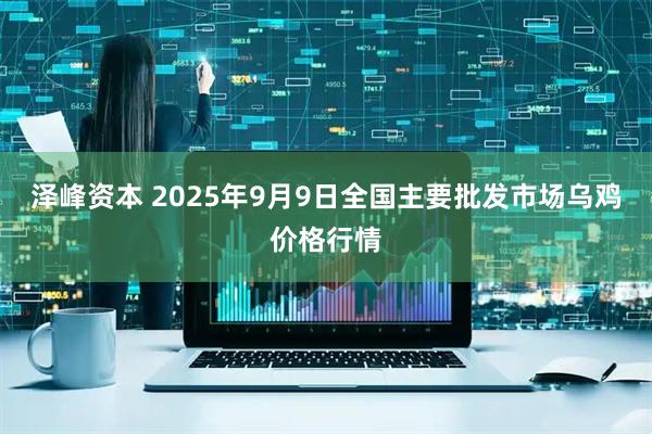 泽峰资本 2025年9月9日全国主要批发市场乌鸡价格行情